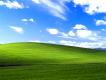 Windows XP Bliss 1024 x 768.jpg